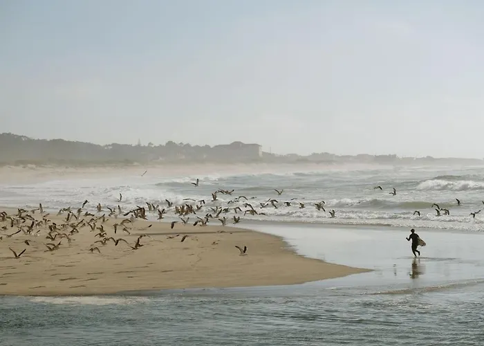 梅拉酒店 酒店 4*