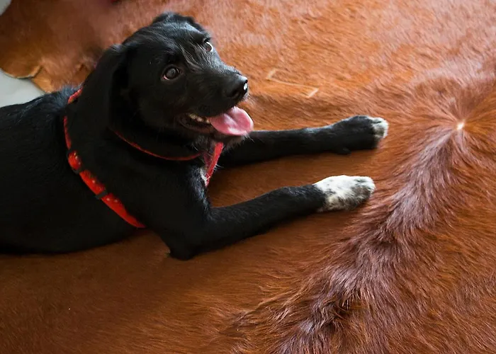 Meira Hotel Vila Praia de Âncora